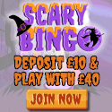 New Bingo Sites