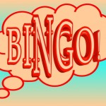 what is a newbie bingo room