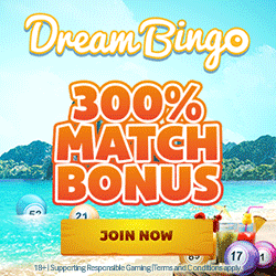 Dream Bingo banner