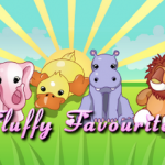 Fluffy Favourites