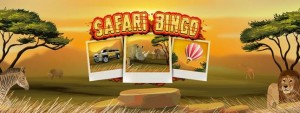 Safari Bingo at Bet365 Bingo