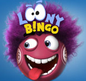 Looney Bingo Launches Early