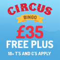 Circus Bingo banner