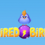 Wired Birds