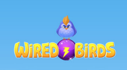 Wired Birds