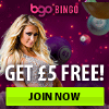 Bgo Bingo are offering shares of £5 million to players this Christmas 