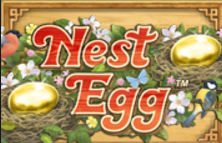 Nest Egg