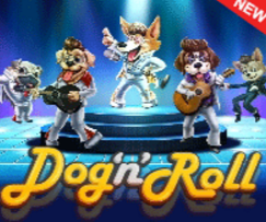 Dog N Roll