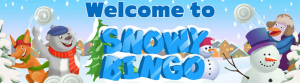 Welcome To Snowy Bingo