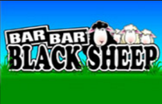 Bar Bar Black Sheep 5 Reel