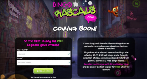 Cozy Games Will Soon Be Rolling Out Bingo Rascals