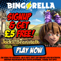 All The Latest At Bingorella