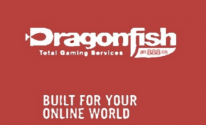 Dragonfish Announce Terms And Conditions Changes