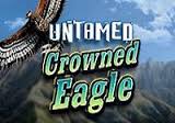 Untamed-Crowned-Eagle