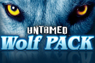 UntamedWolfPack