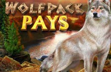 Wolfpack-Pays