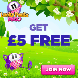 New Site Design And Welcome Offer At Lucky Pants Bingo