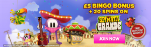 New Site Design And Welcome Offer At Lucky Pants Bingo