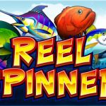 Reel-Spinner