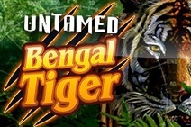 untamed-bengal-tiger