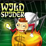 wild-spider