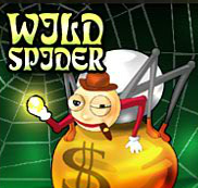 wild-spider