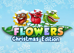 flowers-christmas-edition