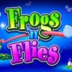 frogs-n-flies