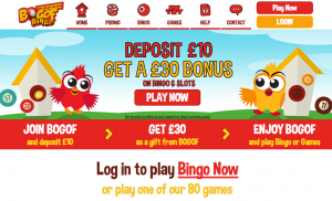 Promotions Galore at BOGOF Bingo