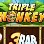 triple-monkey