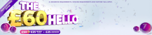 Sky Bingo Offer New Bonus and New Game