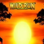 wild-run