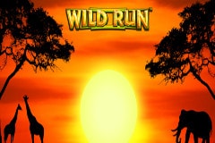 wild-run