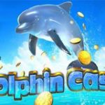dolphin-cash
