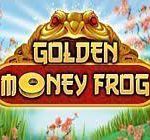 goldenmoneyfrog