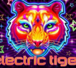 electrictiger (1)