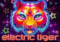 electrictiger (1)