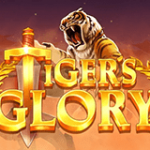 tigers-glory