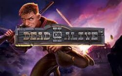 Dead or Alive 2
